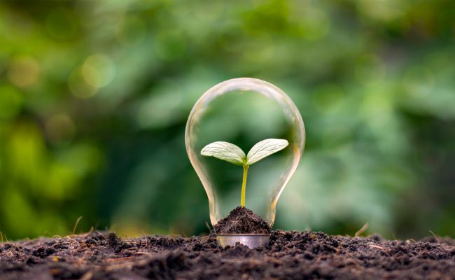 3-slip-carousel-EVC-Website-2